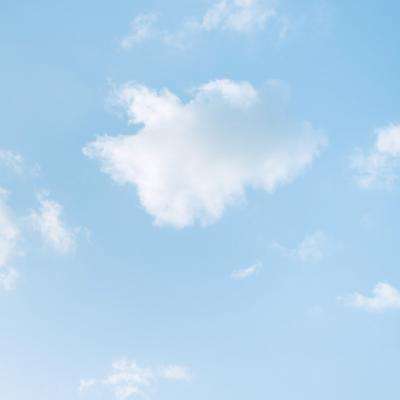 博鱼综合APP截图