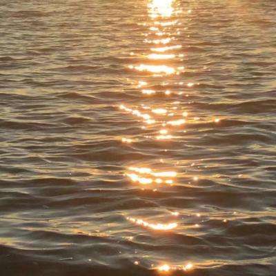 皇冠体育app下载截图